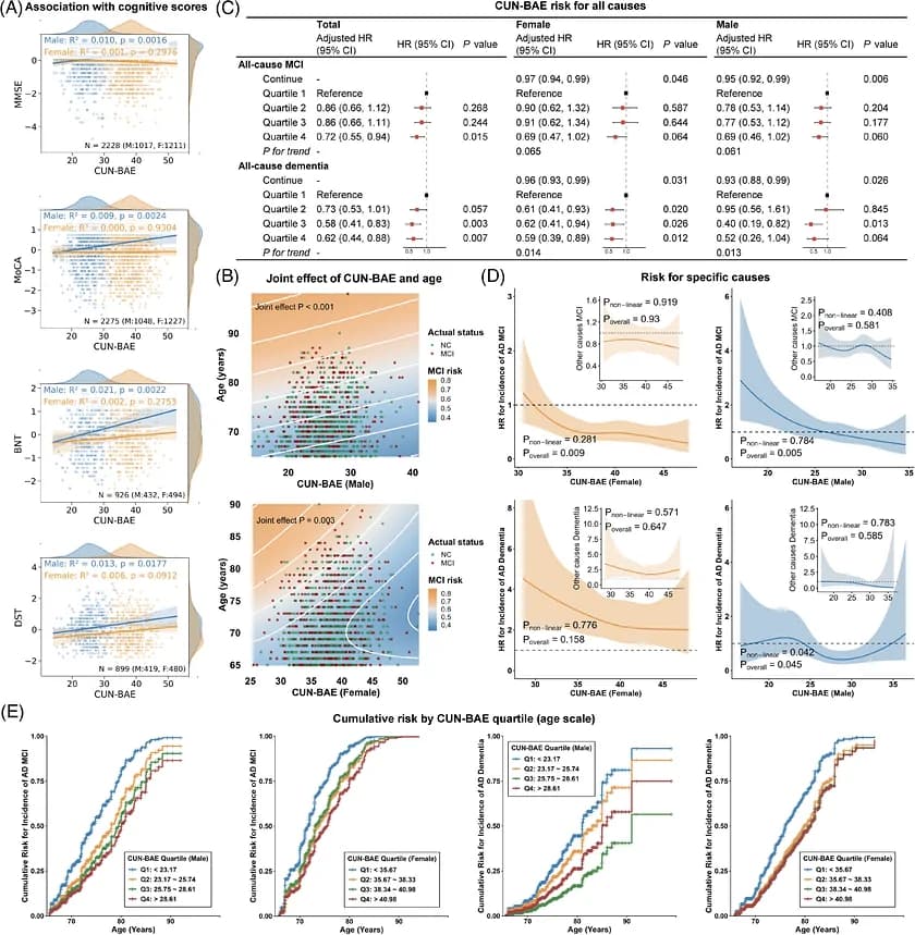 Figure 1. Association between baseline CUN‐BAE and both cognitive performance and cognitive decline in the HMACS cohort.
