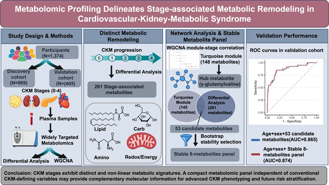 Graphical abstract from Diabetes/metabolism Research and Reviews