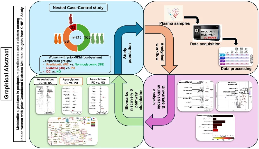 Graphical abstract from Diabetes/metabolism Research and Reviews