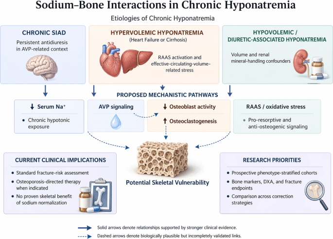 Figure 1 from Osteoporosis International