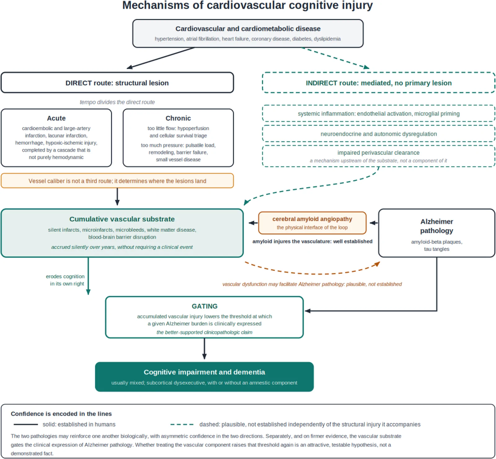 Fig. 1. Mechanisms of cardiovascular cognitive injury.