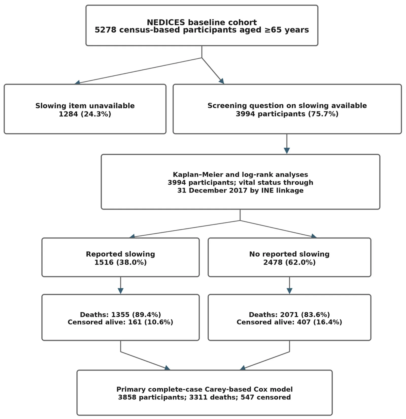 Figure 1. Study flow chart and analytic samples.