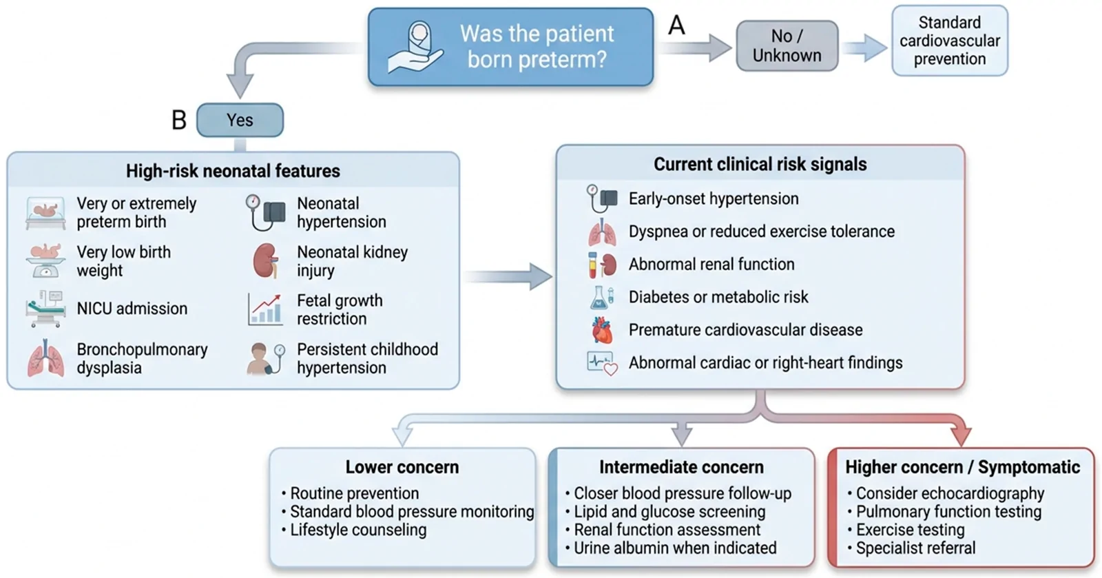 Figure 1. Birth-history-informed cardiovascular risk assessment algorithm.