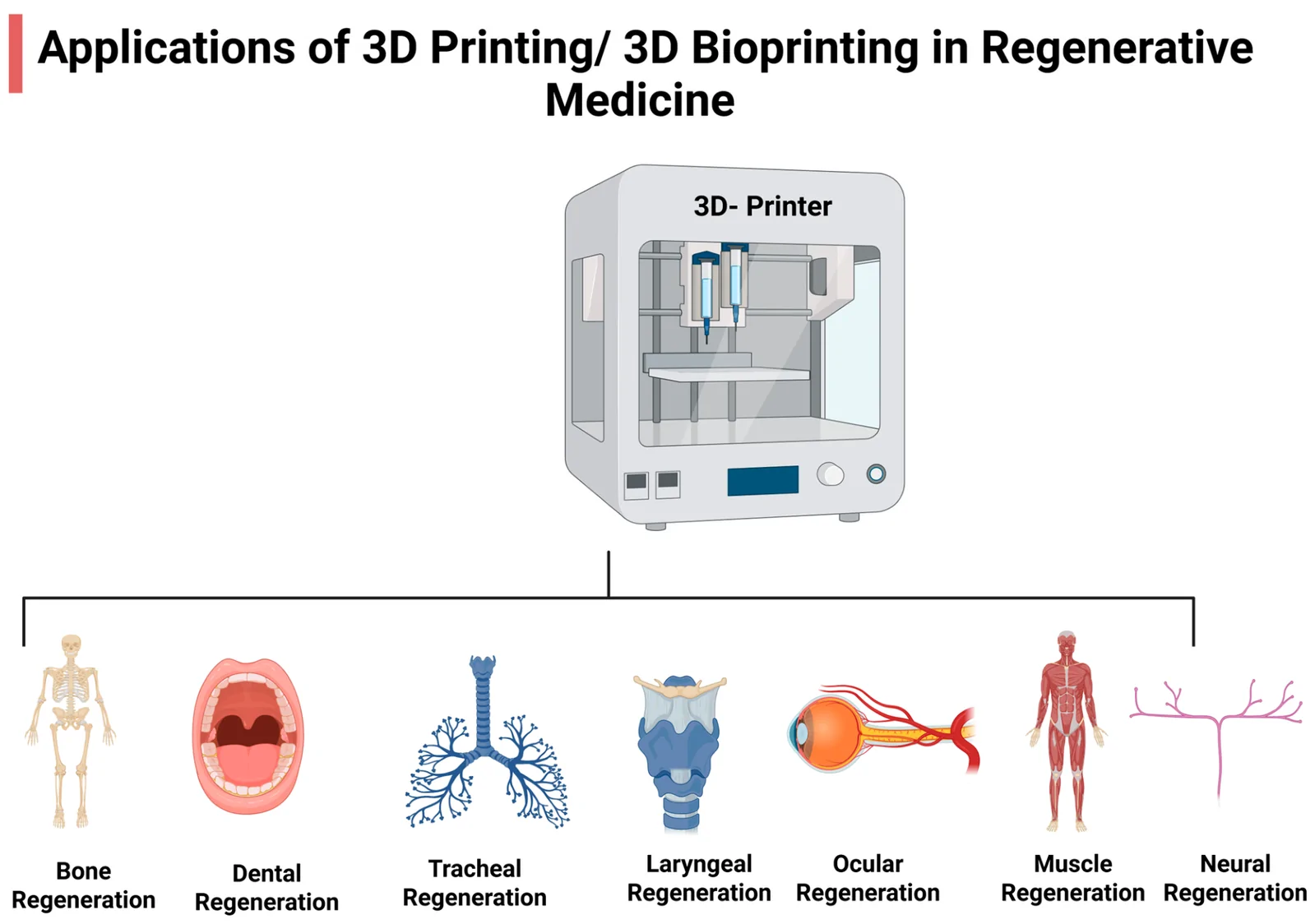 Figure 1. Applications of 3D Printing/3D Bioprinting in Regenerative Medicine.