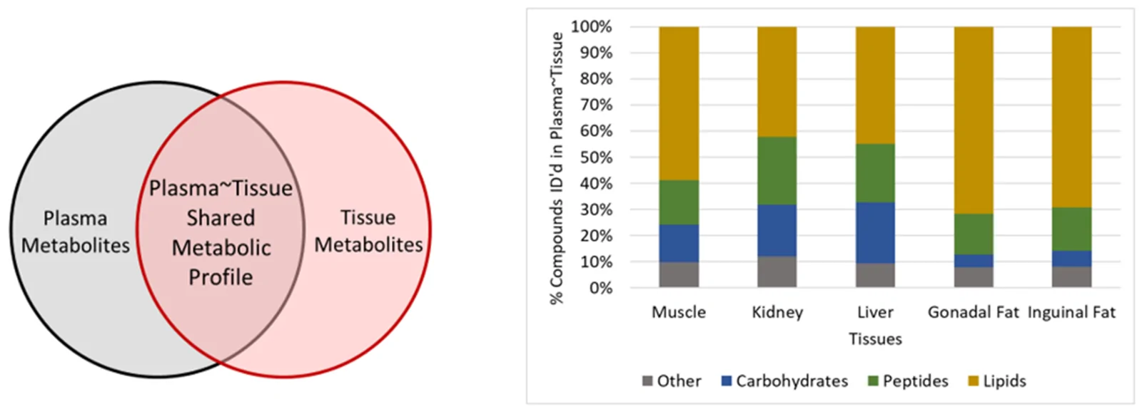 Figure 1. Overview of identified compounds compared between plasma and tissue.