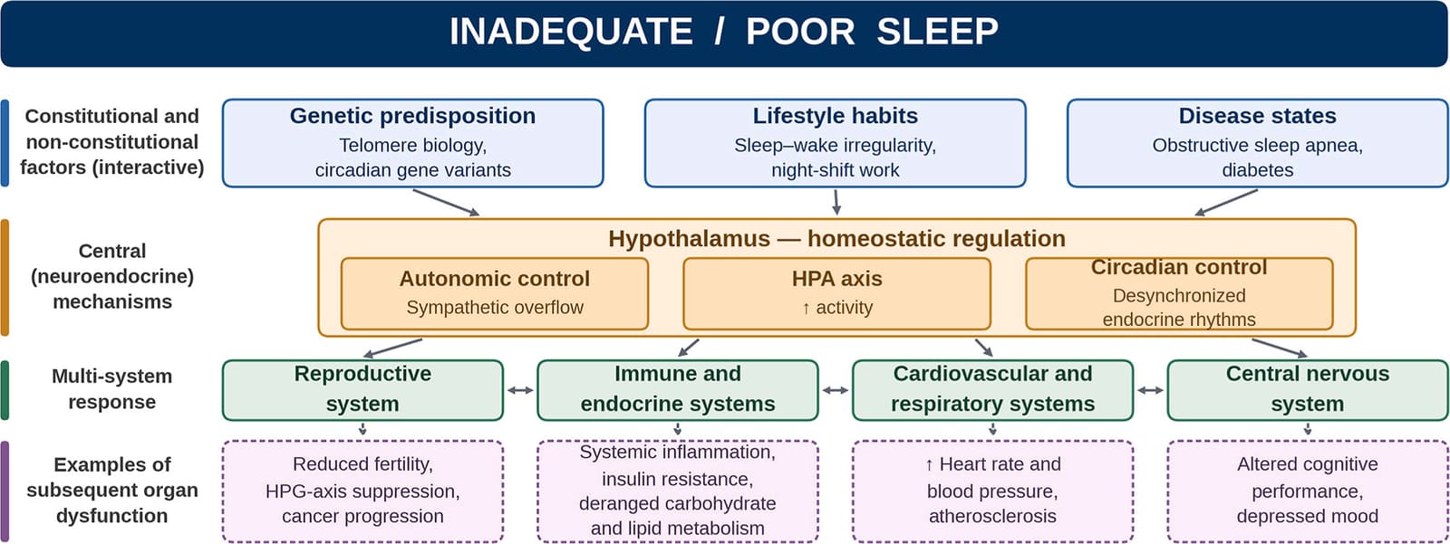 Graphical abstract from Sleep Medicine