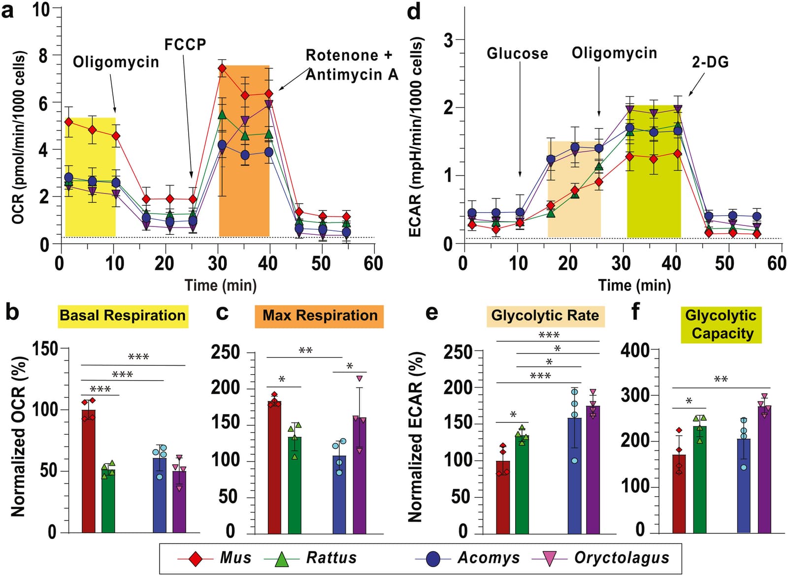 Figure 1 from The Journal of Biological Chemistry