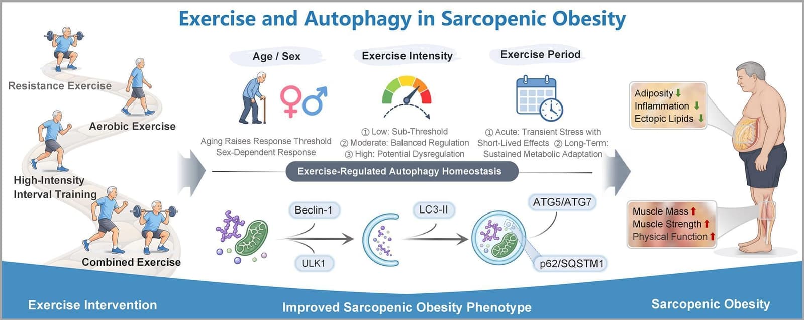 Graphical abstract