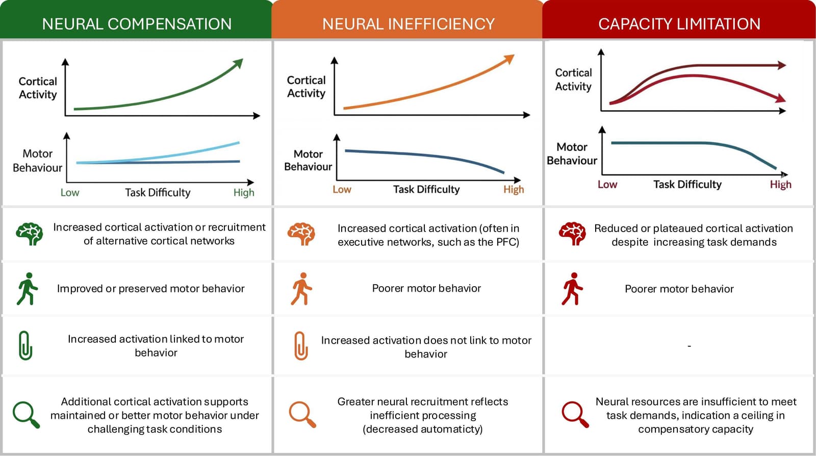 Figure 1 from Neuroscience and Biobehavioral Reviews
