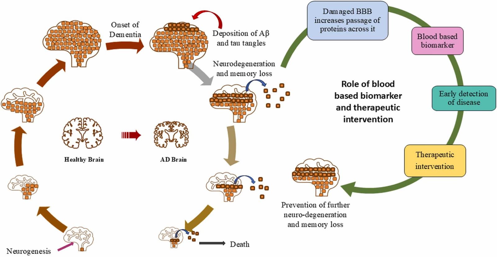 Figure 1 from International Review of Neurobiology