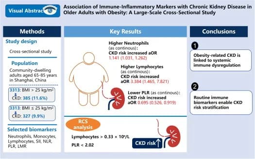 Graphical abstract from Renal Failure