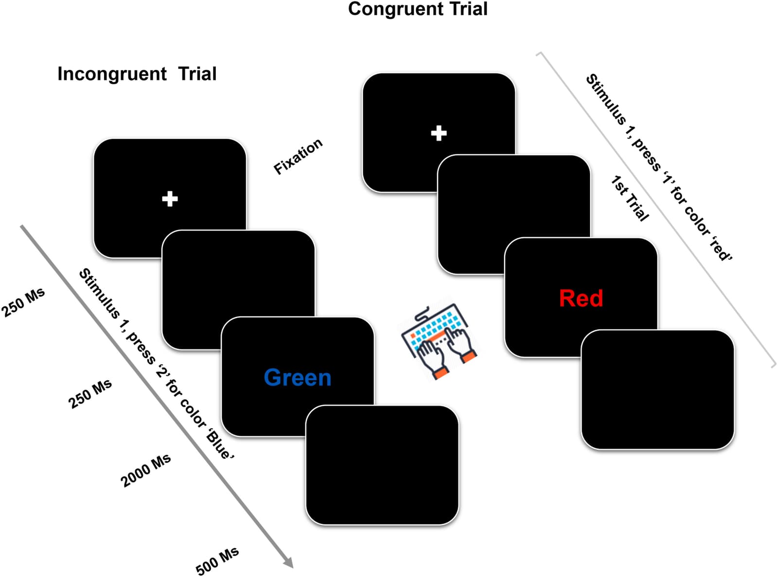 Figure 1 from Neuroimage Reports