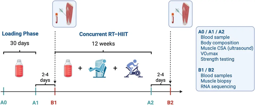 Figure 1. Study design and timeline.