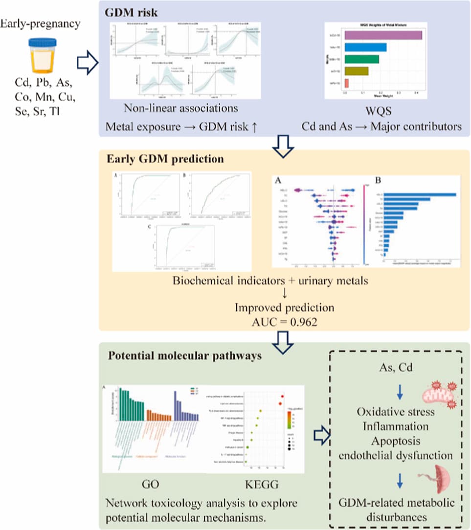 Graphical abstract from Environmental Pollution