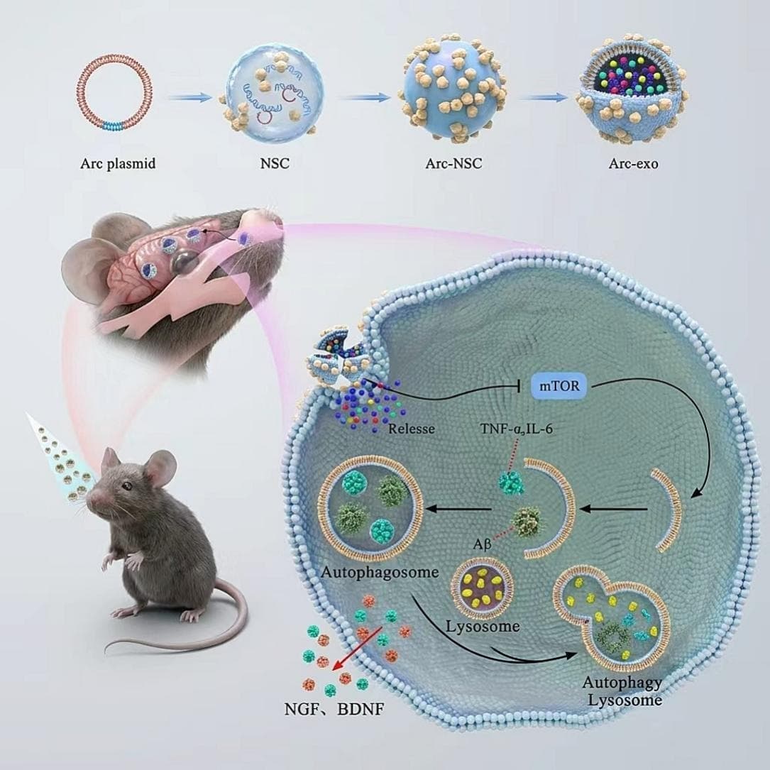 Graphical abstract from Nanomedicine
