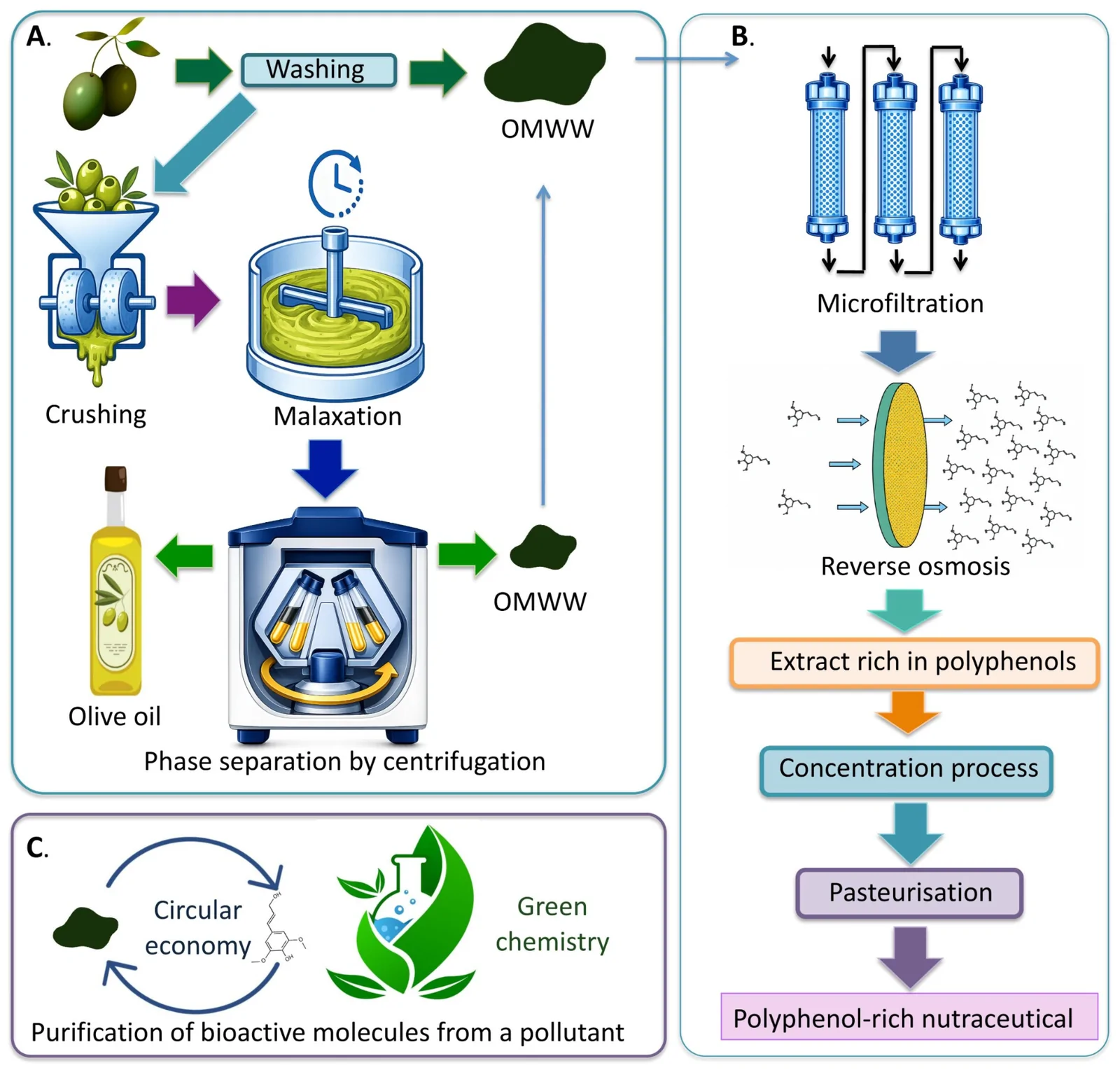 Recovery of HT-rich fractions from OMWW through a circular economy approach.