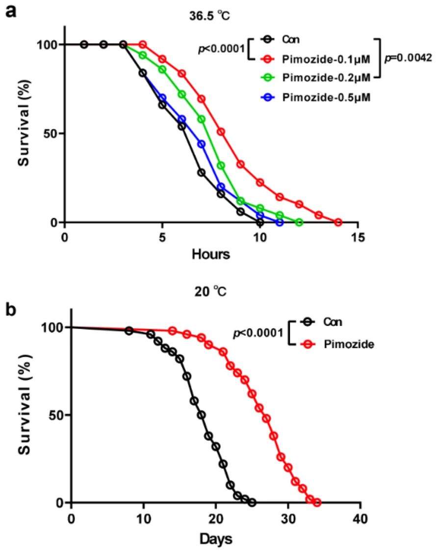 Pimozide prolongs the lifespan of C. elegans.
