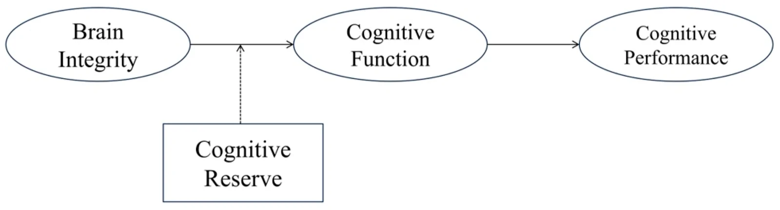 Figure 1. Basic model of cognitive reserve theory.