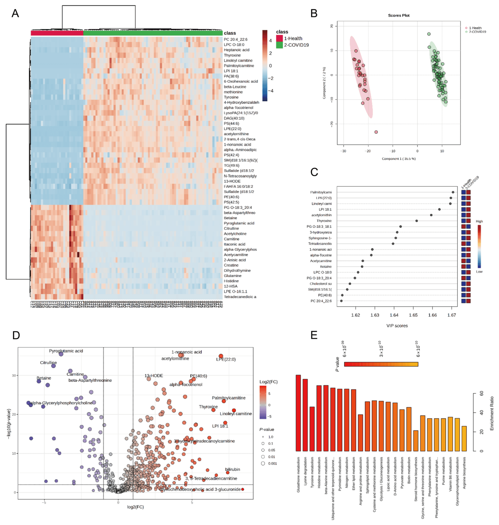 Figure 1 from Biomedicines