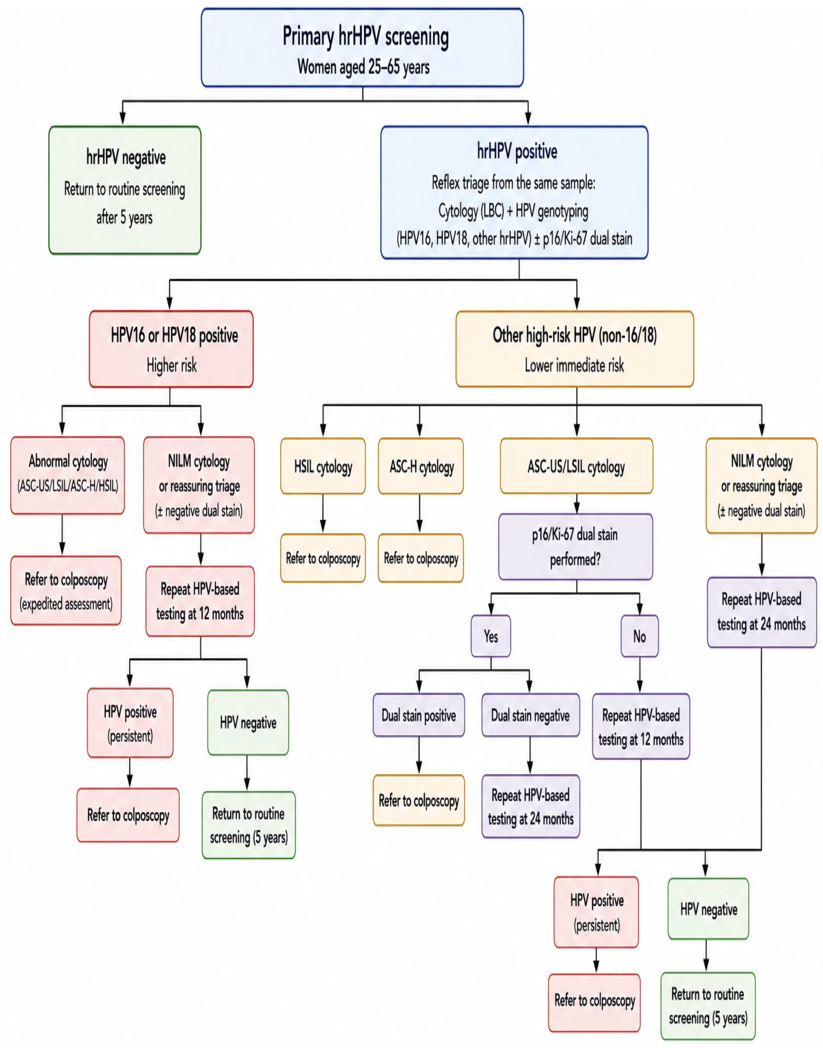 Proposed risk-stratified framework for HPV-based cervical cancer screening in Bulgaria.