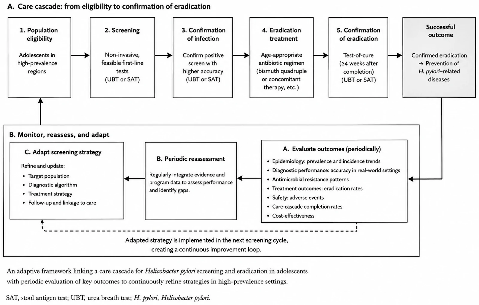 Figure 1. Proposed adaptive framework for population-based adolescent Helicobacter pylori screening.