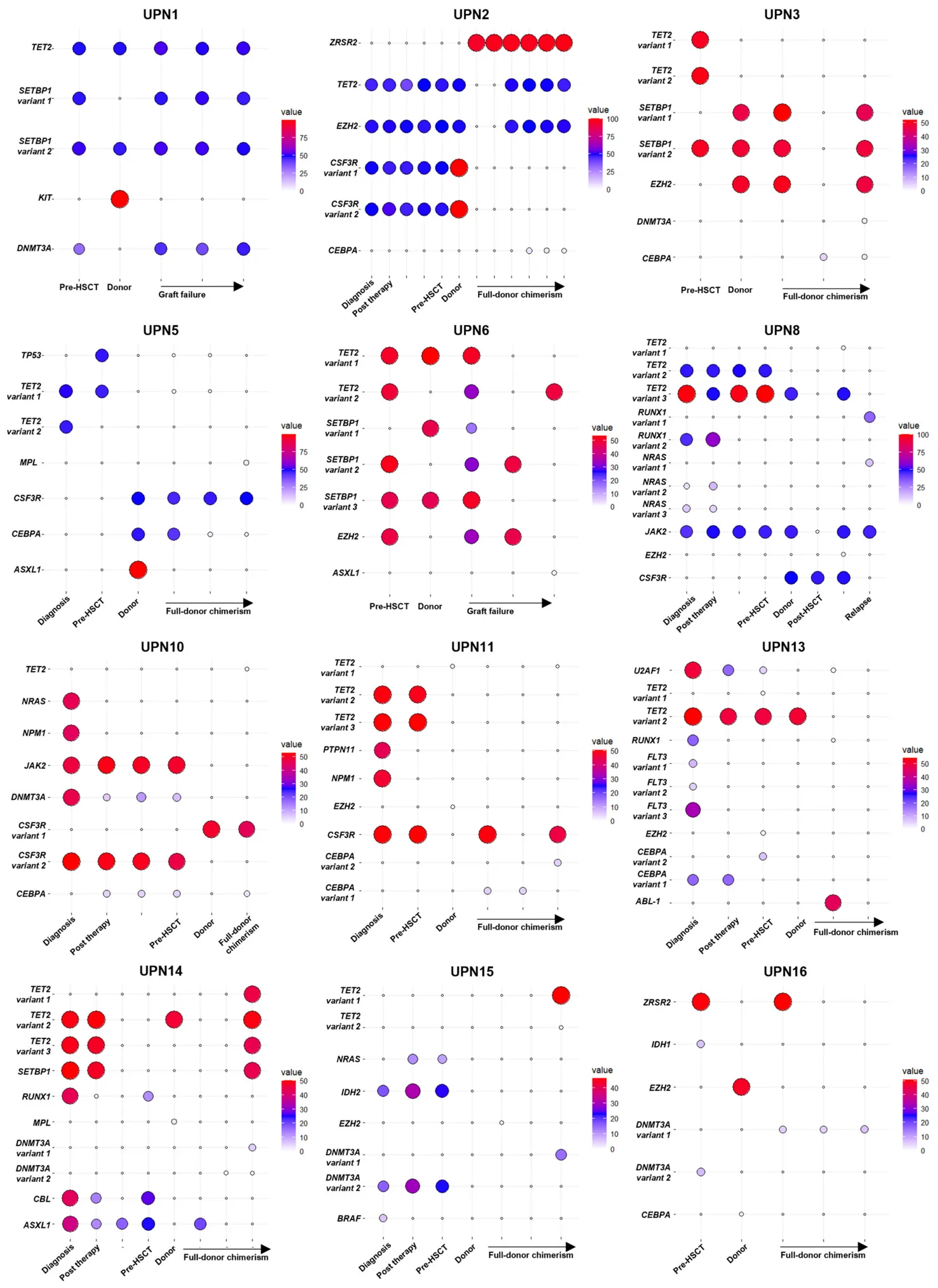 Figure 1. Mutational landscapes before and after matched-related donor transplantation.