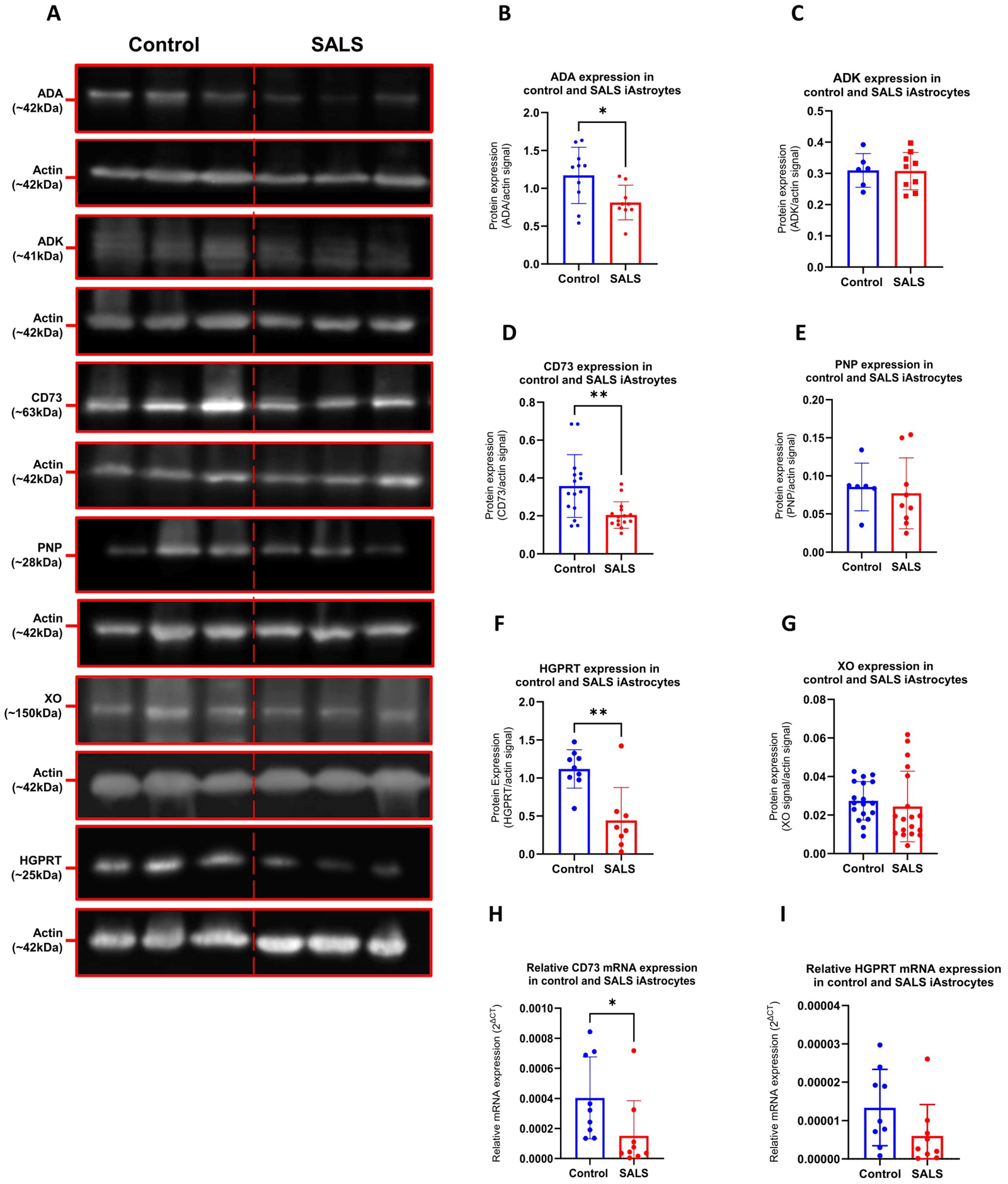 Figure 1 from International Journal of Molecular Sciences