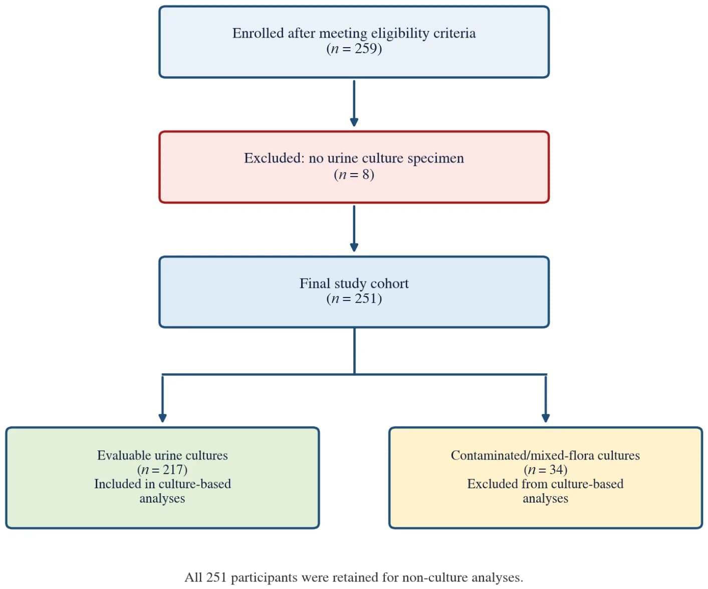 STROBE flow diagram of participant enrollment and analytic cohorts.