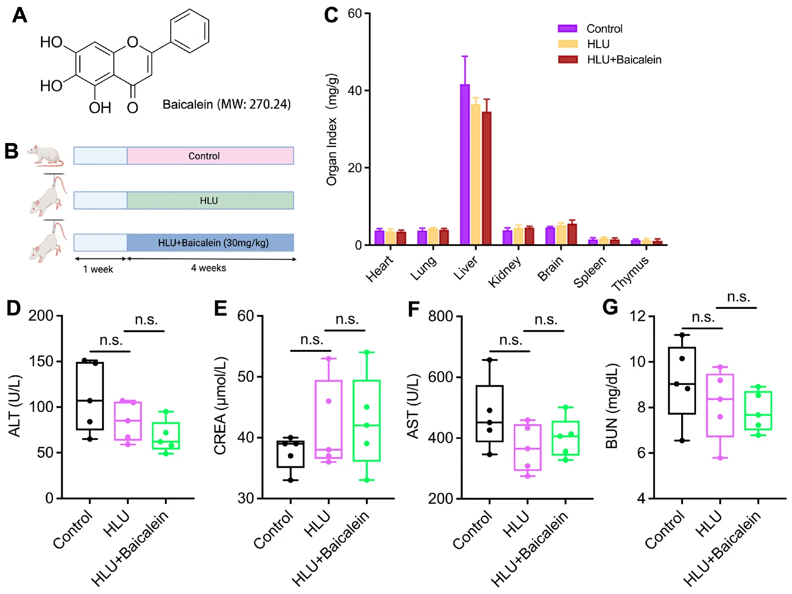 Figure 1. Effect of baicalein on the safety of experimental rats.