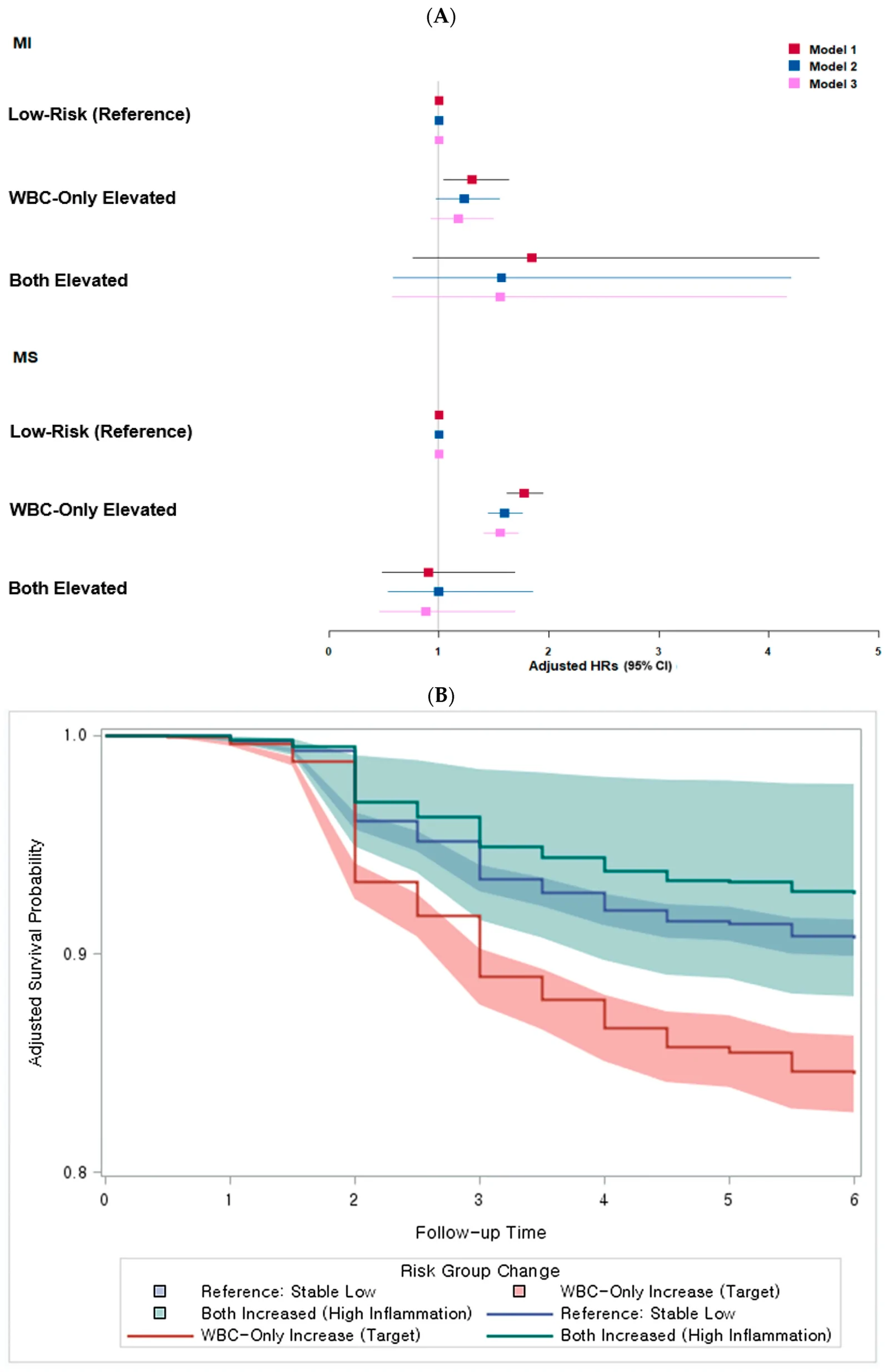 Figure 1. Associations of immune phenotypes by white blood cell (WBC) and serum C-reactive protein (CRP) levels with metabolic syndrome (MetS) and myocardial infarction (MI).