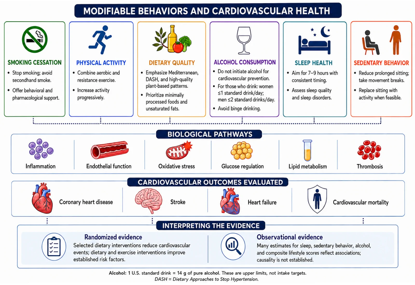 Figure 1. Modifiable lifestyle factors may influence cardiovascular health through multiple biological pathways.