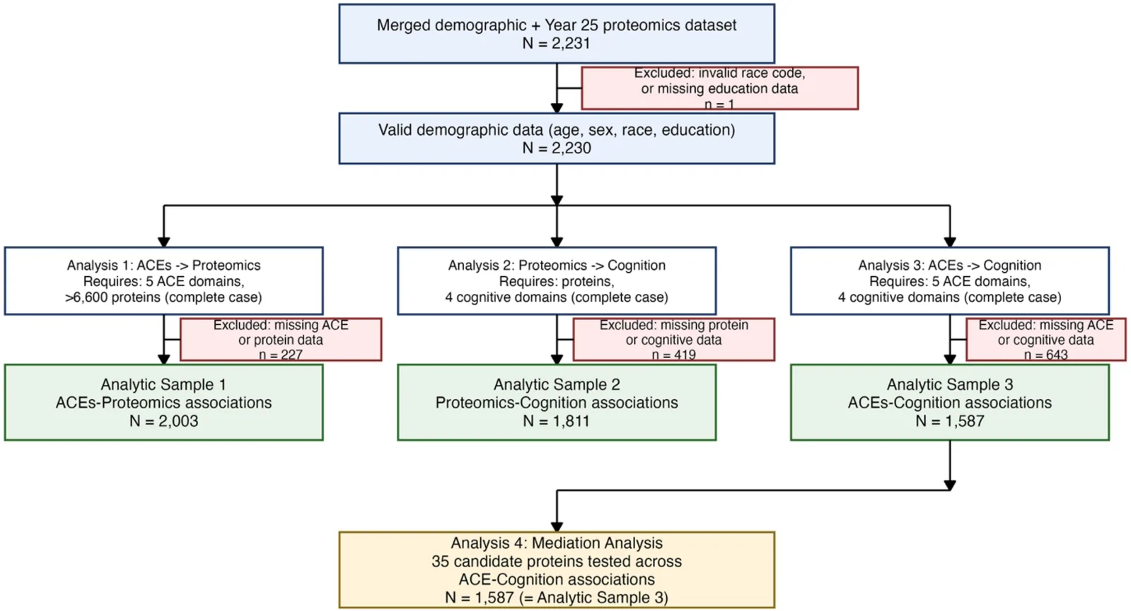 Derivation of analytic samples from the CARDIA cohort.