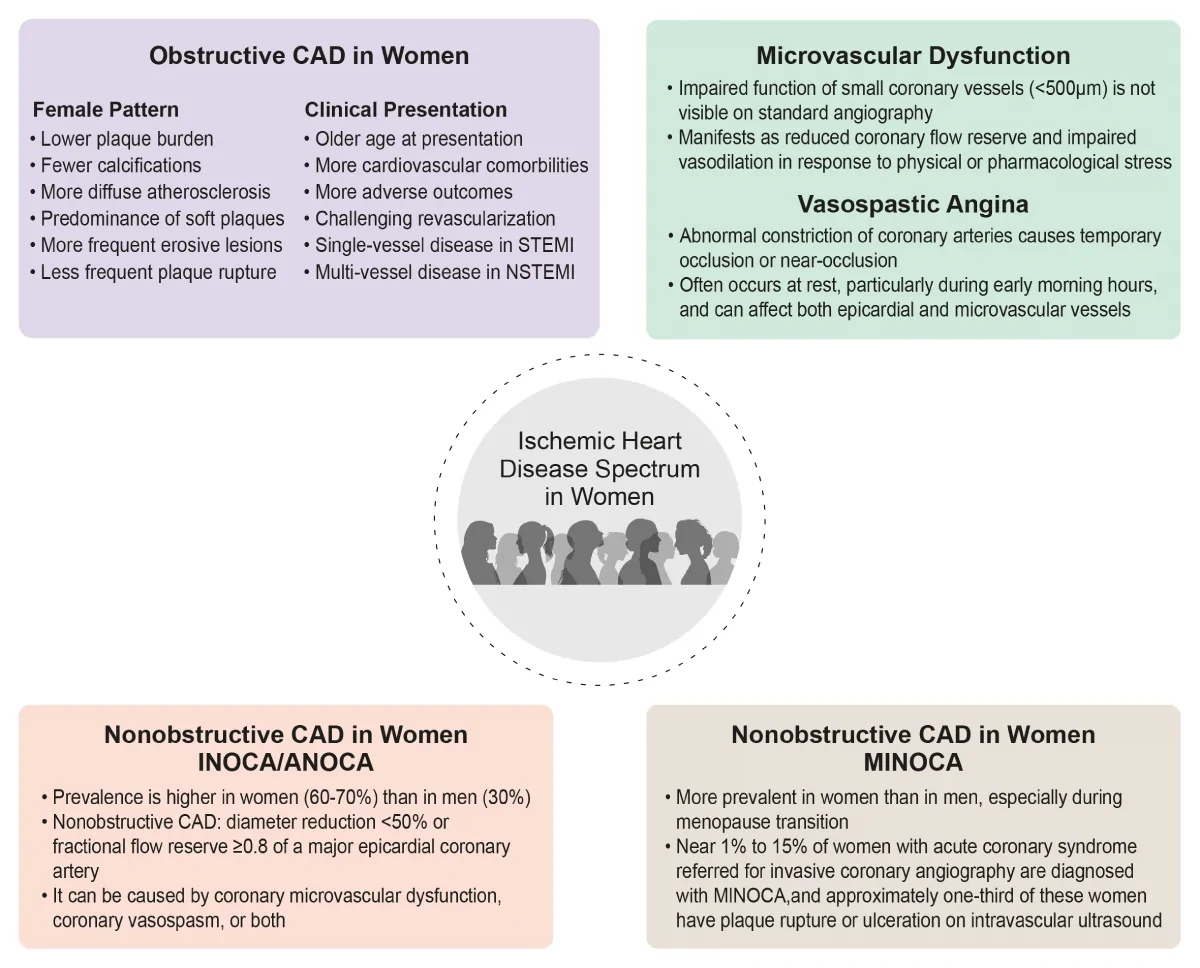Figure 1. The spectrum of ischemic heart disease in women (2223242526).