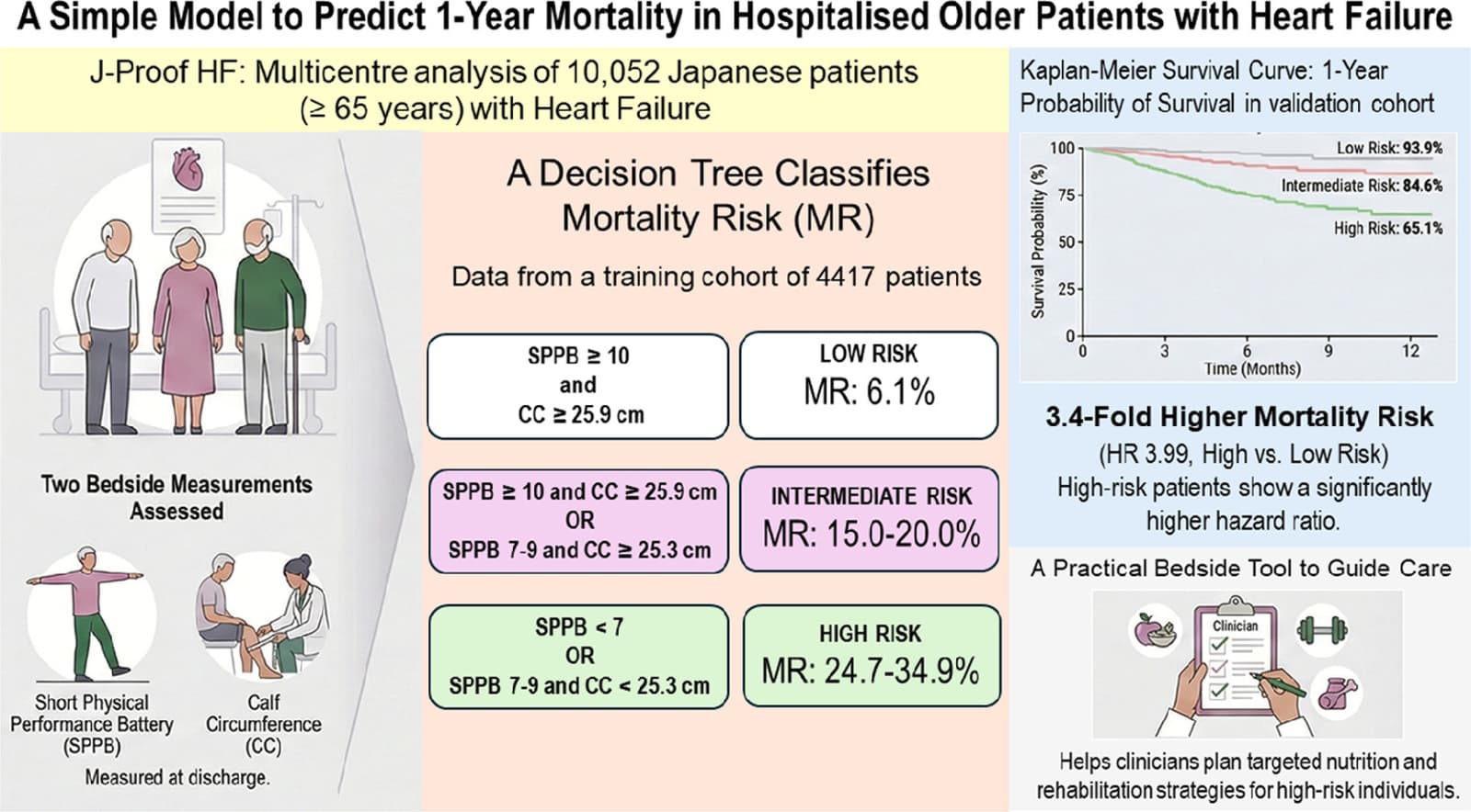 Graphical abstract
