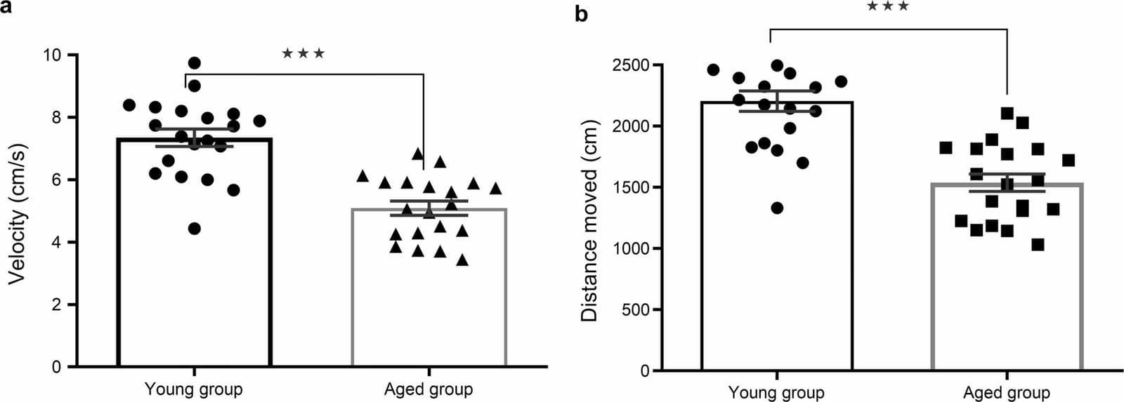 Figure 1 from Behavioural Brain Research