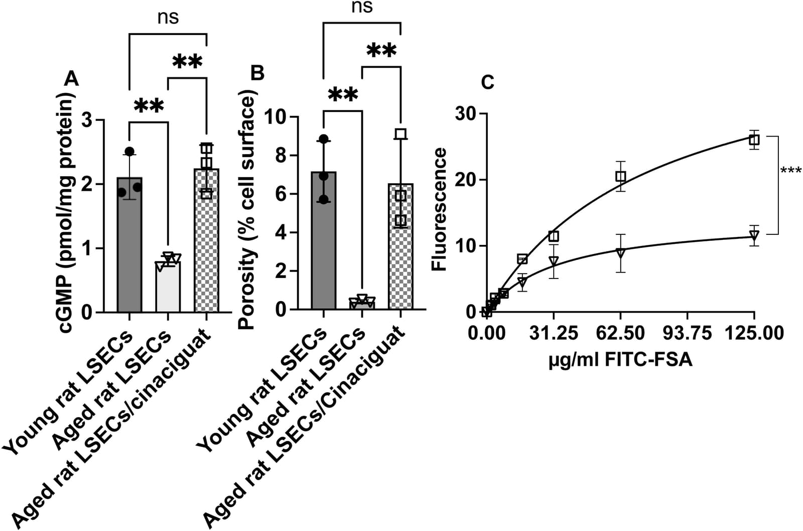 Figure 1 from The Journal of Biological Chemistry
