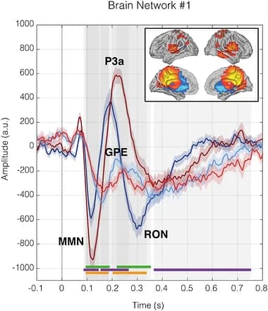 Graphical abstract from Advanced Science