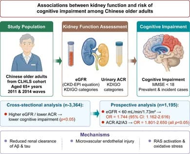 Graphical abstract from Geriatrics & Gerontology International