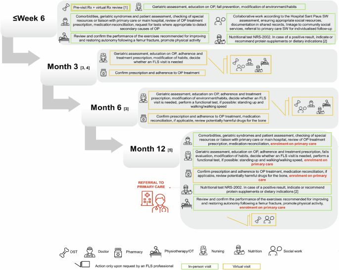 Figure 1 from Osteoporosis International
