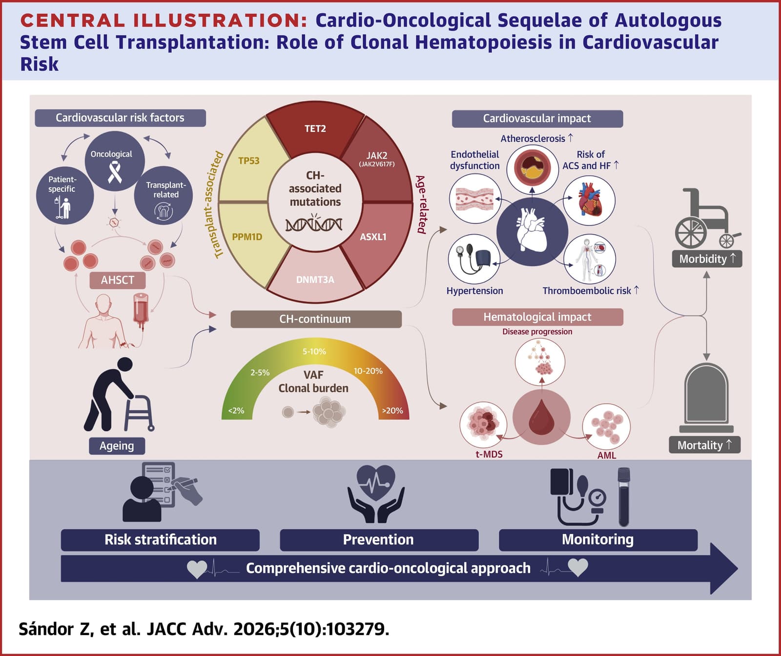 Graphical abstract from JACC Advances