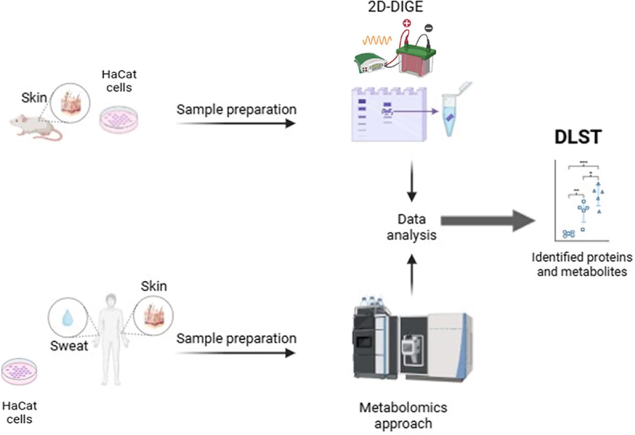 Graphical abstract from Molecular Metabolism