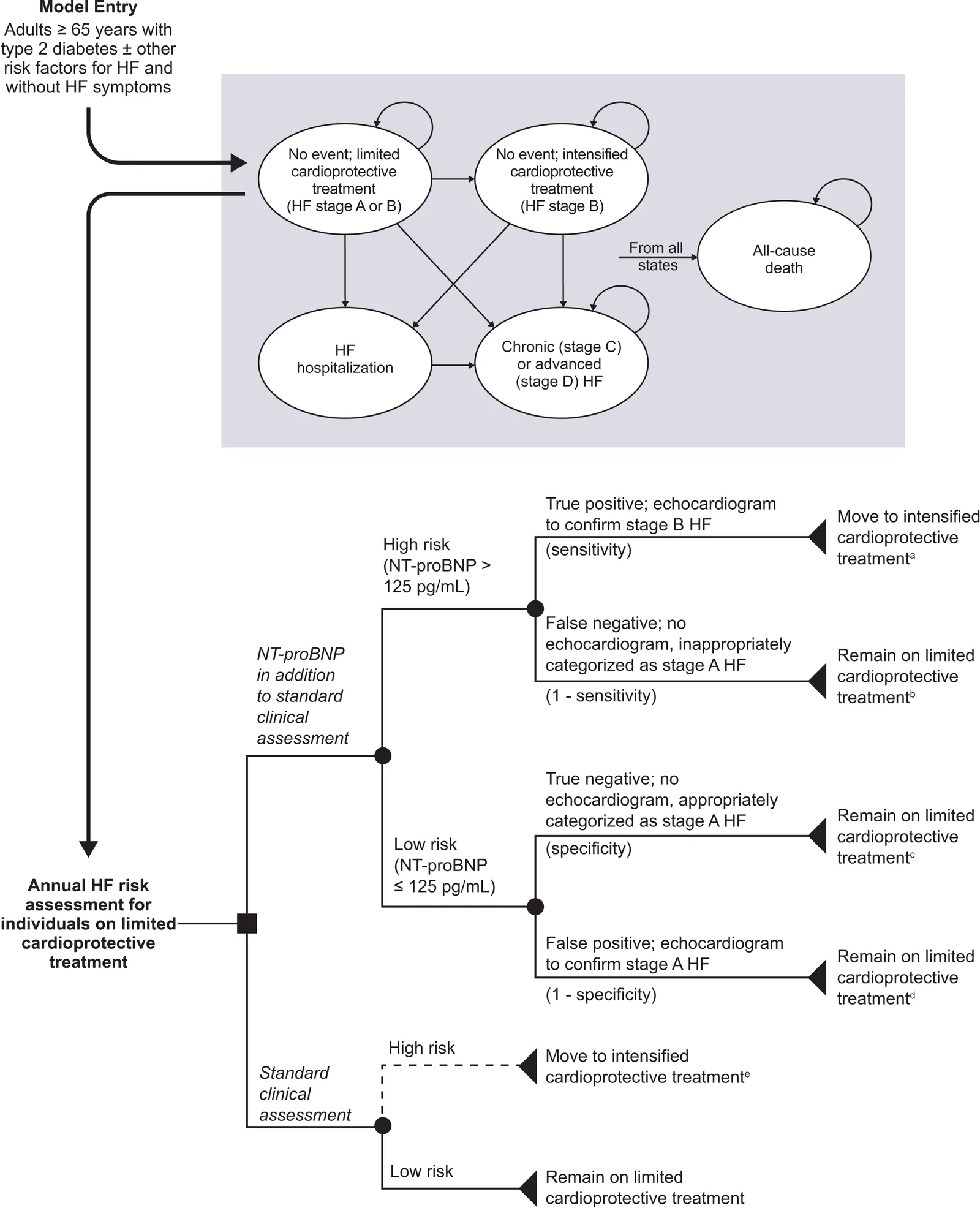 Figure 1. HF model structure. Note: Cost accruals for state transitions included risk assessment costs (NT-proBNP testing, standard clinical assessments, echocardiograms, and cardiologist visits for…