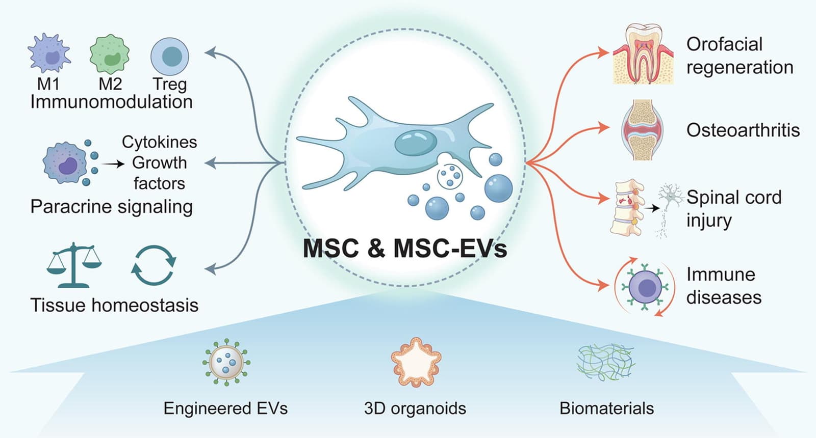Graphical abstract from Science Bulletin