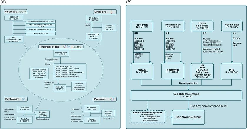 Participant selection and study workflow.