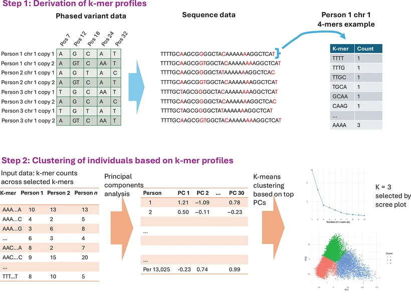 Figure 1. Illustration of k‐mer‐based procedure to derive genomic profiles in APOE region.