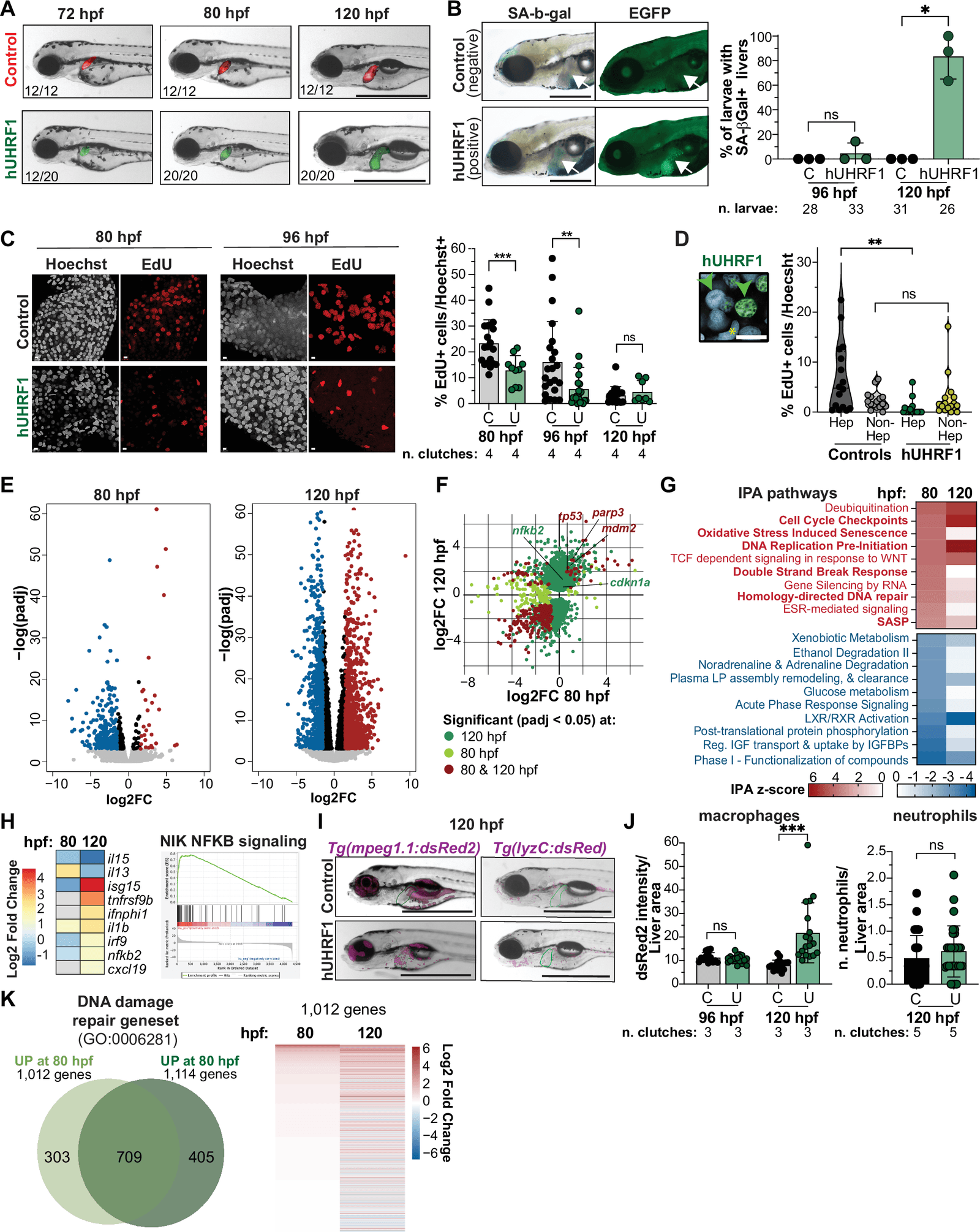 Figure 1 from EMBO Reports