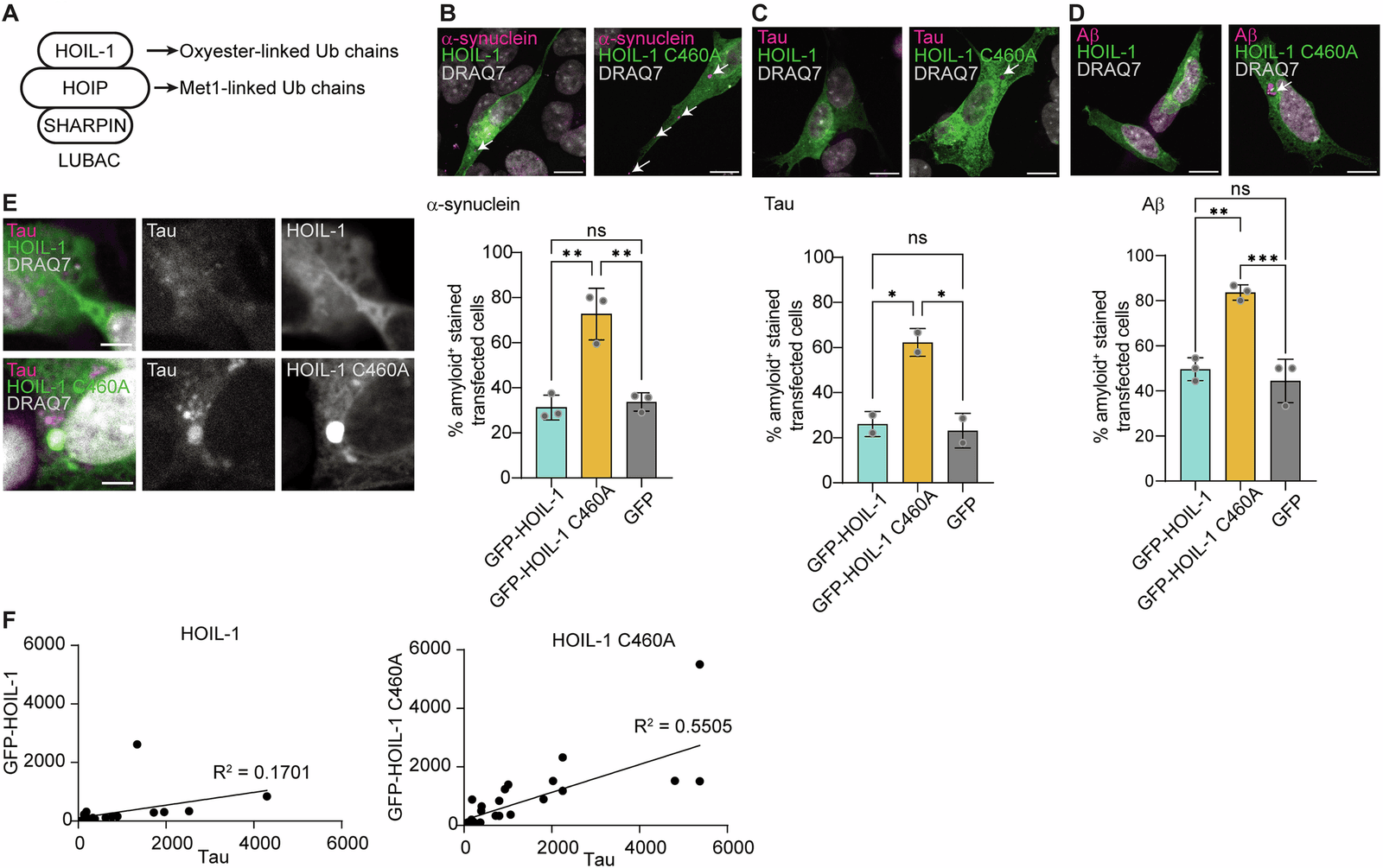 Figure 1 from The EMBO Journal