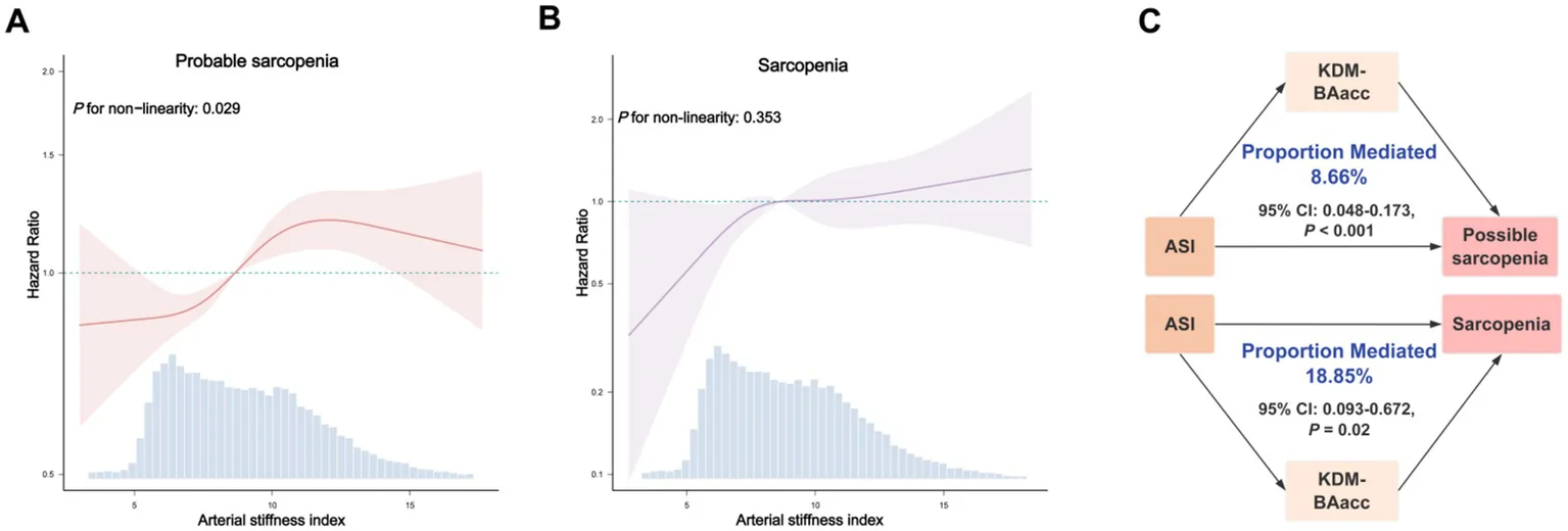 Figure 1. Restricted cubic spline analyses and mediation analysis of the associations of arterial stiffness index with probable sarcopenia and sarcopenia.