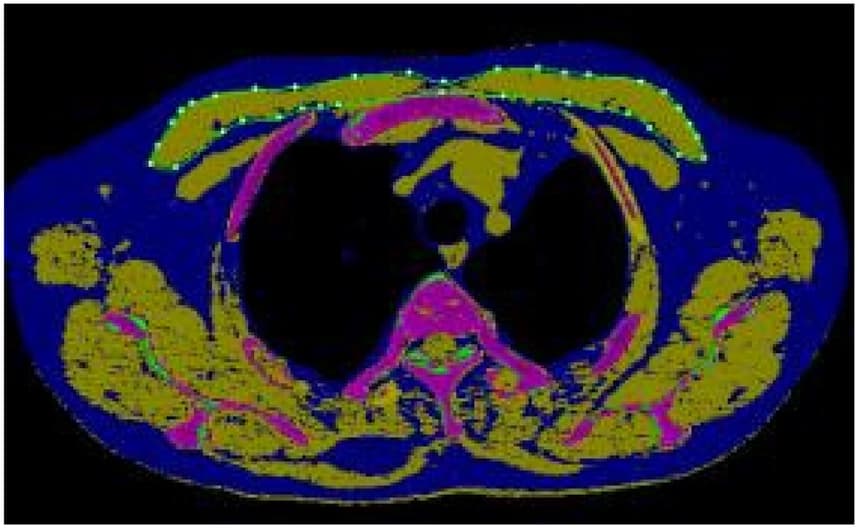 Figure 1 from Frontiers in Medicine