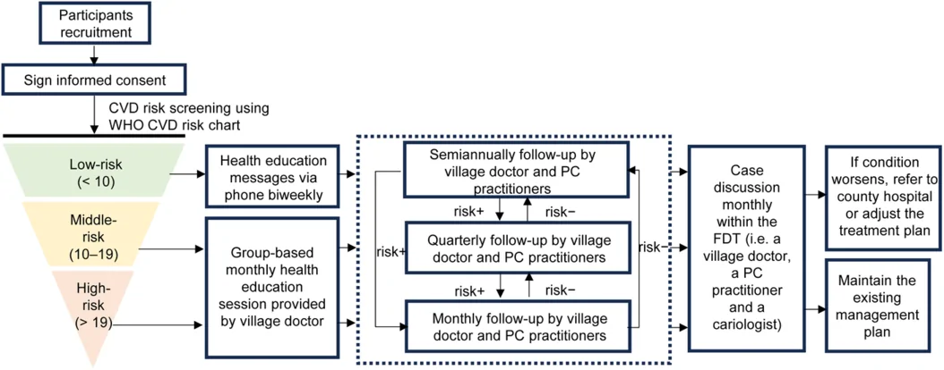 Graphical abstract